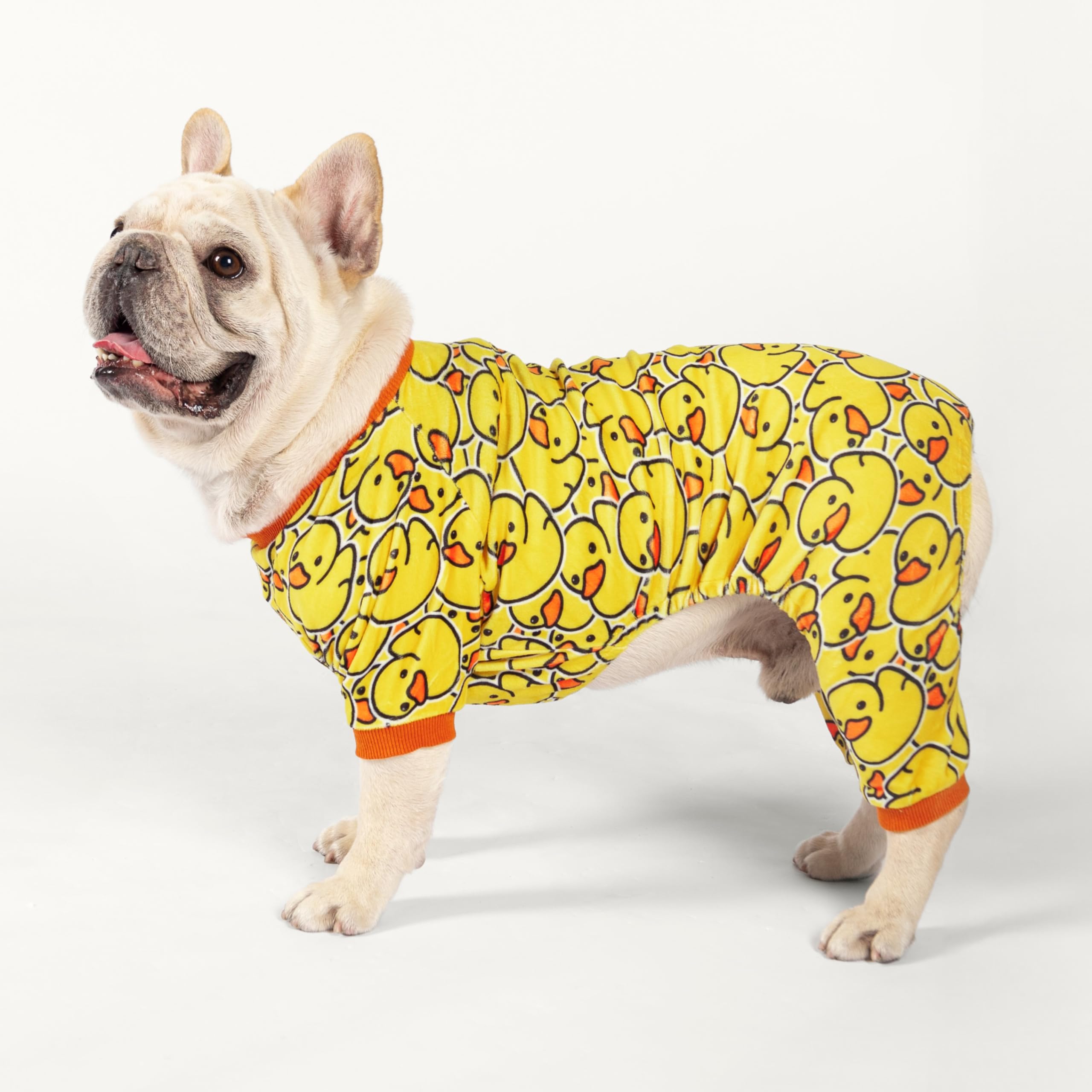 fitwarm dog pj